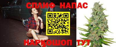 прущие грибы Апшеронск