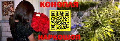прущие грибы Апшеронск